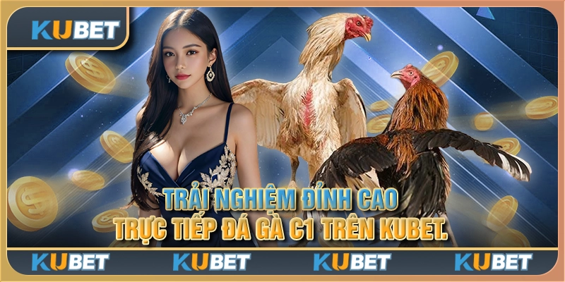 Trải nghiệm đỉnh cao: Trực tiếp Đá Gà C1 trên Kubet.