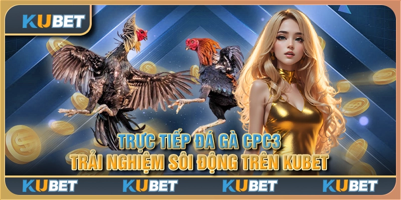 Trực tiếp Đá Gà CPC3: Trải nghiệm sôi động trên Kubet