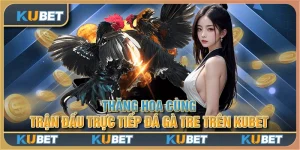 Thăng hoa cùng trận đấu trực tiếp Đá Gà Tre trên Kubet