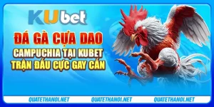 Đá gà cựa dao Campuchia tại Kubet - Trận đấu cực gay cấn